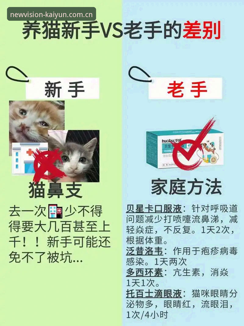 新手vs老手挑开云中国官网：避开这3个坑，你也能找到靠谱入口